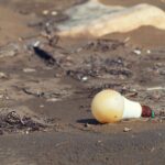 Problem częstego przepalania się żarówek w jednym pomieszczeniu – przyczyny i rozwiązania