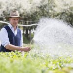 Trendy w automatyzacji systemów podlewania przydomowych ogródków